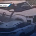 Cazan a perritos desde camioneta en movimiento en Tlaxcalancingo