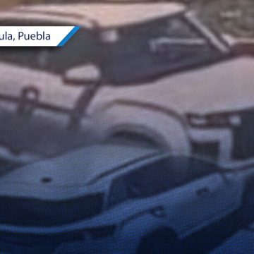 Cazan a perritos desde camioneta en movimiento en Tlaxcalancingo