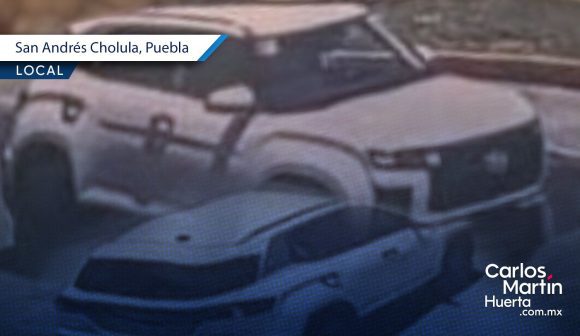 Fiscalía investiga a tirador que caza a perros desde una camioneta en Tlaxcalancingo