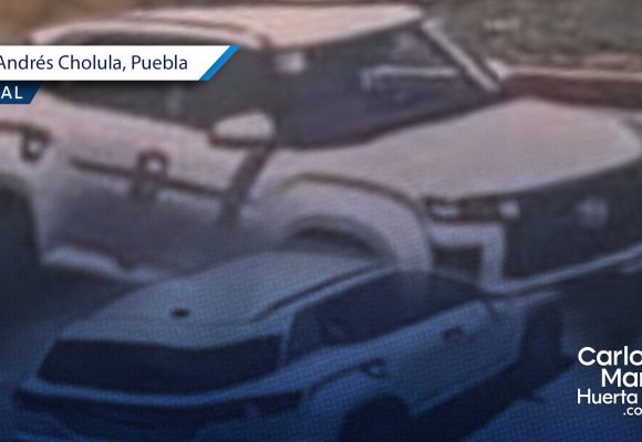 Fiscalía investiga a tirador que caza a perros desde una camioneta en Tlaxcalancingo