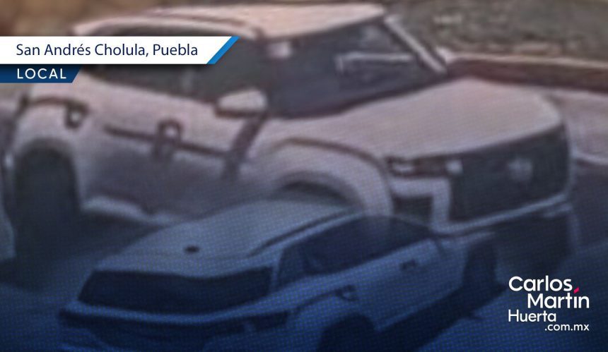 Fiscalía investiga a tirador que caza a perros desde una camioneta en Tlaxcalancingo
