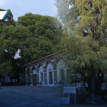 Ahuehuete de Atlixco recibirá declaratoria como Árbol Patrimonial
