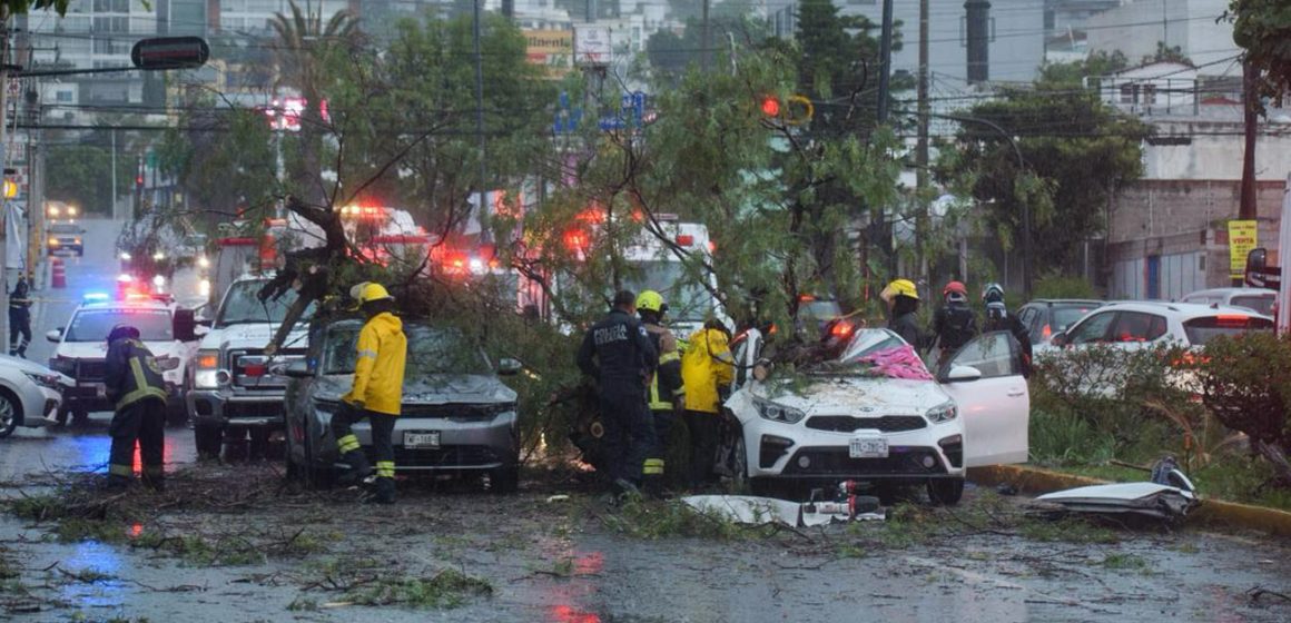 Una mujer muerta y un lesionado tras caída de árbol sobre auto en la Recta a Cholula