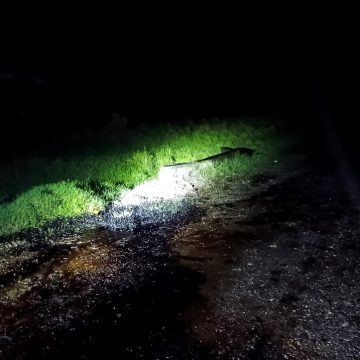 derrame Emergencia en la carretera a El Ojite: Autoridades se movilizan por derrame de combustible