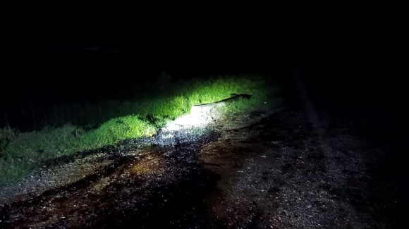 Emergencia en la carretera a El Ojite: Autoridades se movilizan por derrame de combustible