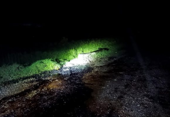 Emergencia en la carretera a El Ojite: Autoridades se movilizan por derrame de combustible