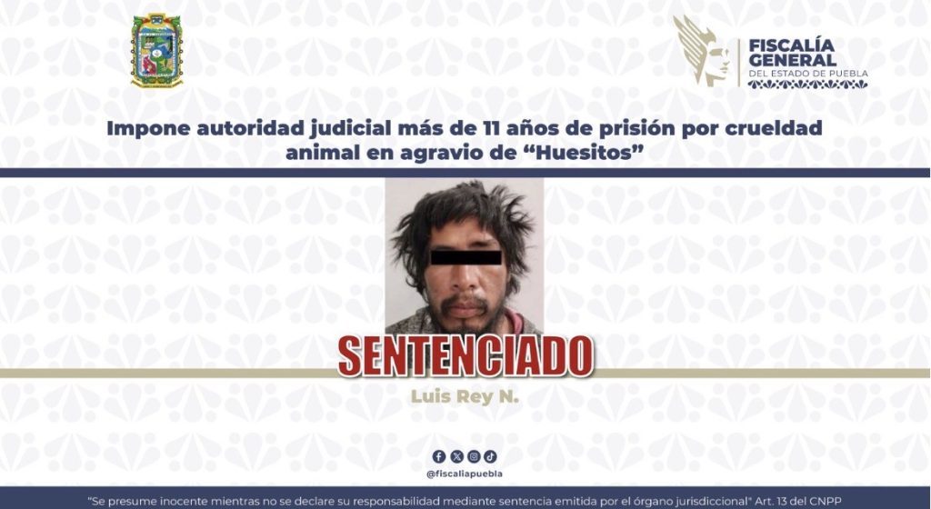 Histórica sentencia en Puebla: 11 años de prisión a sujeto que agredió al perrito “Huesitos” 1 fiscalia