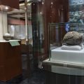 Exhiben por primera vez una pelota mesoamericana de más de 3,600 años en Teotihuacan