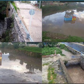 Atendió Gobierno Municipal reporte por caída de cuatro árboles tras lluvias