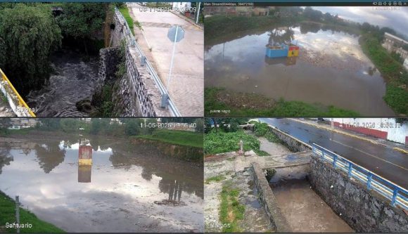 Atendió Gobierno Municipal reporte por caída de cuatro árboles tras lluvias