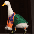 Pato Merlín protege su imagen: inicia registro de marca ante el IMPI