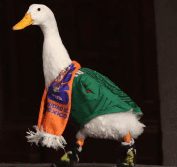 Pato Merlín protege su imagen: inicia registro de marca ante el IMPI