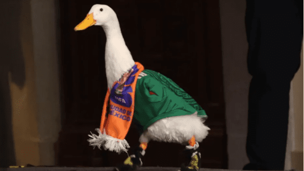 melin-pato-mundial Pato Merlín protege su imagen: inicia registro de marca ante el IMPI