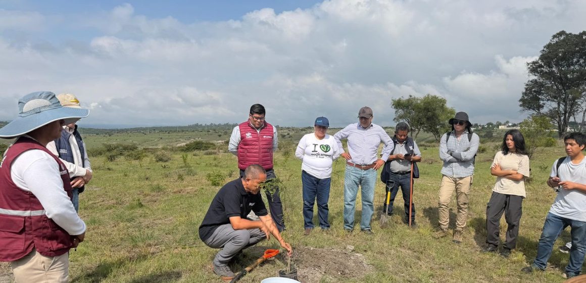 Avanza reforestación en Puebla: Gobierno de Pepe Chedraui planta más de 9 mil árboles