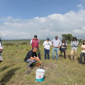 Avanza reforestación en Puebla: Gobierno de Pepe Chedraui planta más de 9 mil árboles