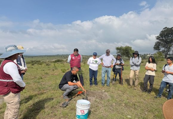 Avanza reforestación en Puebla: Gobierno de Pepe Chedraui planta más de 9 mil árboles