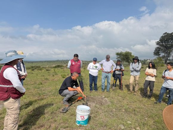 Avanza reforestación en Puebla: Gobierno de Pepe Chedraui planta más de 9 mil árboles