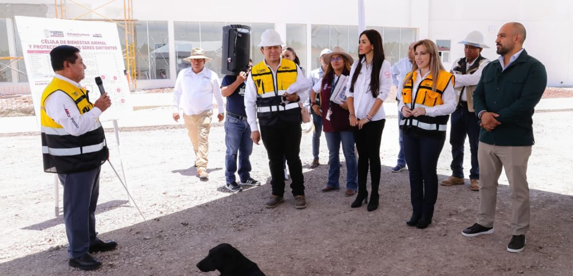 Registra 77 por ciento de avance la primera Célula de Bienestar Animal del Estado