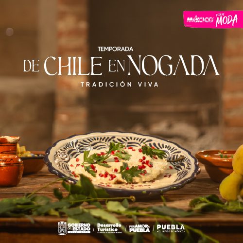 Puebla 6 Anuncio CGCYAD 1 500x500 CGCYAD 2