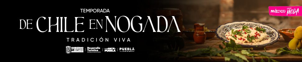 Puebla 10 Anuncio CGCYAD 1 970x200 CGCYAD 10