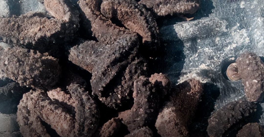 Aseguran pepinos de mar Baja California Aseguran casi tres mil pepinos de mar en Baja California; hay un detenido