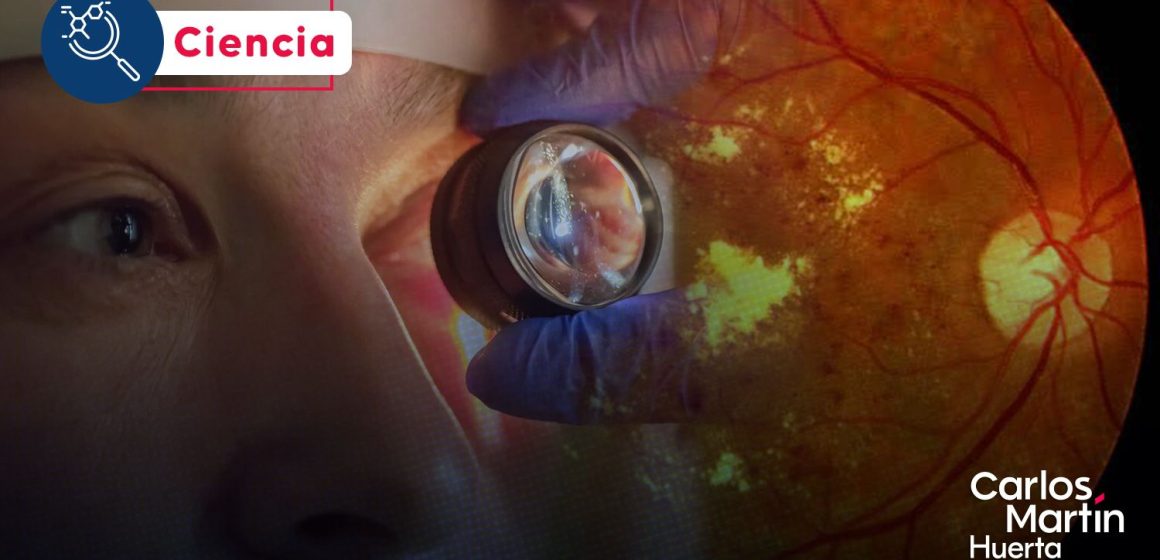 Avance científico: Células cultivadas en laboratorio logran reparar la retina y restaurar la visión