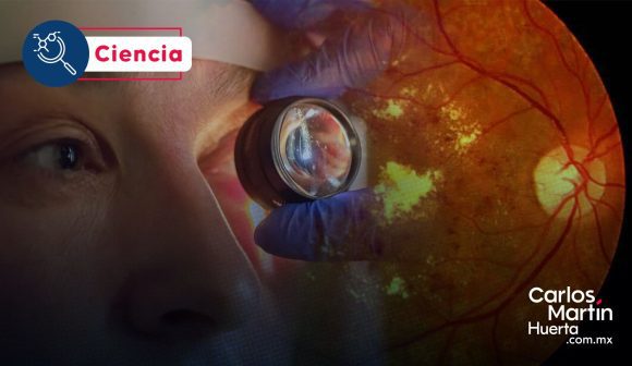 Avance científico: Células cultivadas en laboratorio logran reparar la retina y restaurar la visión