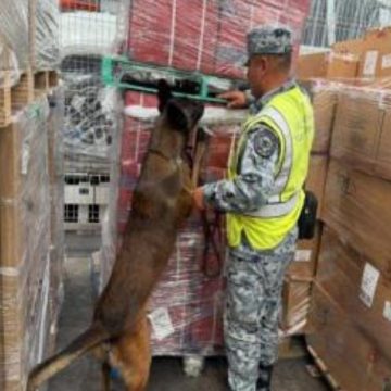 Decomisan cargamento de 84 mil cigarrillos apócrifos procedentes de Bélgica en el AIFA