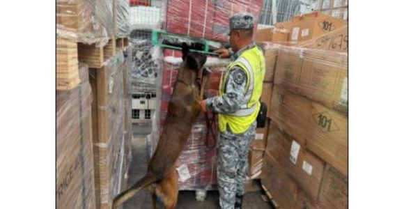 Decomisan cargamento de 84 mil cigarrillos apócrifos procedentes de Bélgica en el AIFA