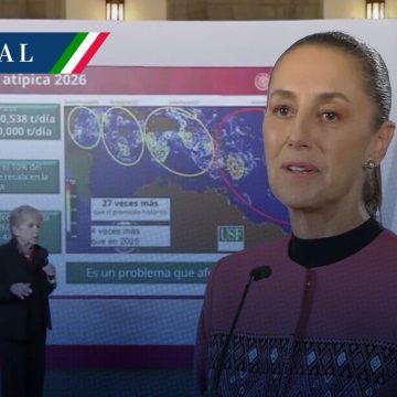 Gobierno de México anuncia plan de más de 2 mil mdp ante arribo récord de sargazo