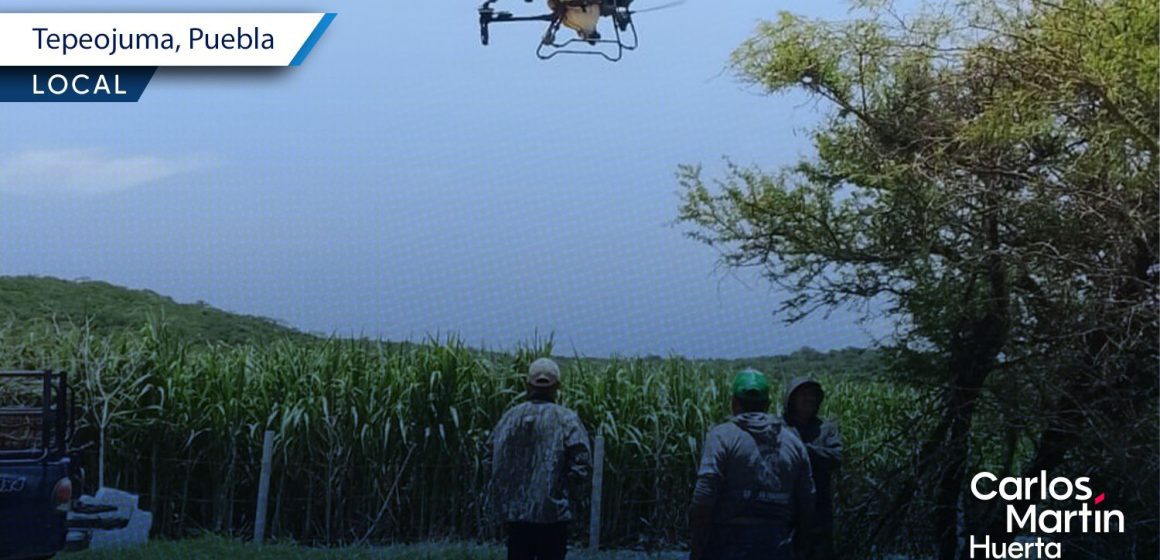 Drones agrícolas atienden de forma oportuna 60 hectáreas de caña en Tepeojuma