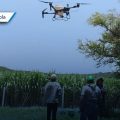Drones agrícolas atienden de forma oportuna 60 hectáreas de caña en Tepeojuma