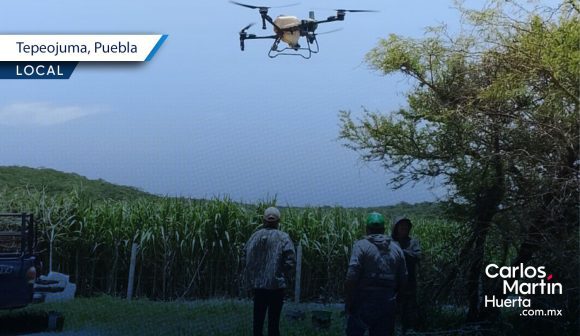 Drones agrícolas atienden de forma oportuna 60 hectáreas de caña en Tepeojuma