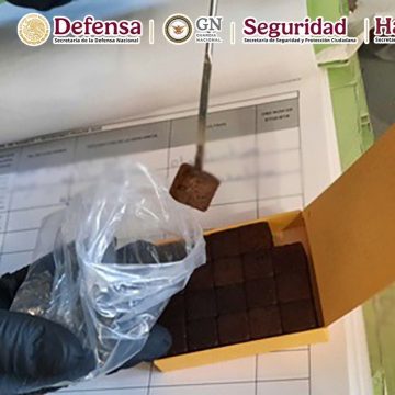 Interceptan cargamento de 240 gomitas con cannabis en el Aeropuerto de Toluca