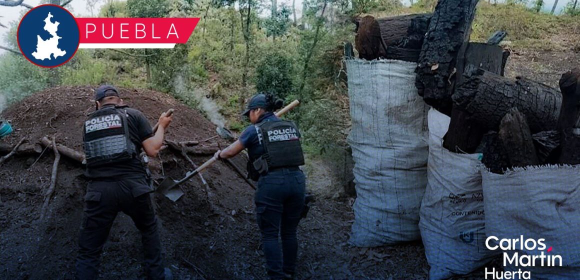 Policía Forestal destruye 9 hornos clandestinos de carbón en Canoa y Espejo