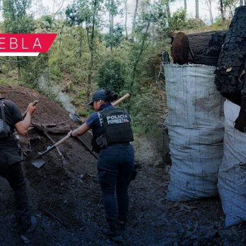 Policía Forestal destruye 9 hornos clandestinos de carbón en Canoa y Espejo