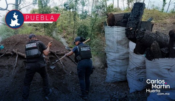 Policía Forestal destruye 9 hornos clandestinos de carbón en Canoa y Espejo
