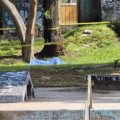 Hallan a hombre sin vida y con golpes en la cabeza en el Parque Skate de Xonaca