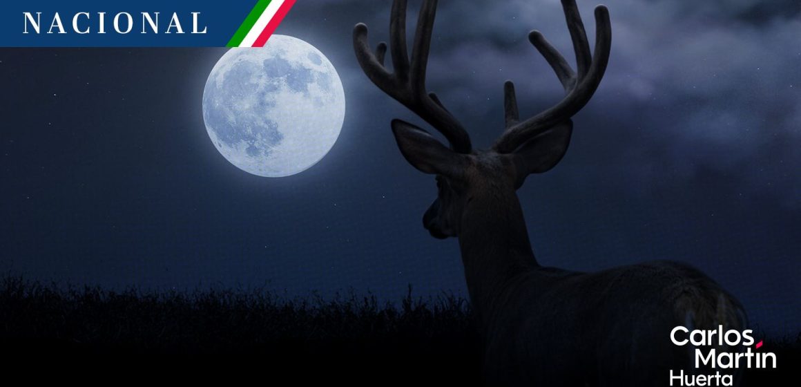 Luna de Ciervo 2026: Así podrás observar el fenómeno astronómico en México