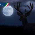 Luna de Ciervo 2026: Así podrás observar el fenómeno astronómico en México