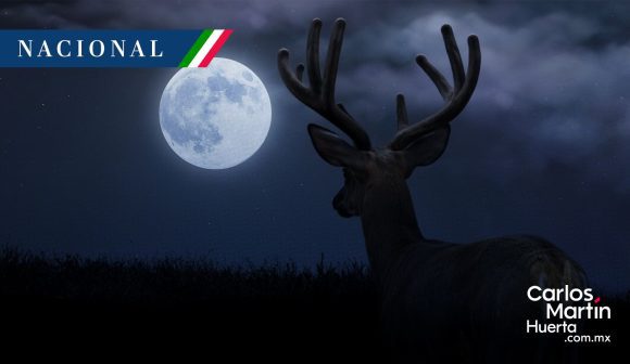 Luna de Ciervo 2026: Así podrás observar el fenómeno astronómico en México