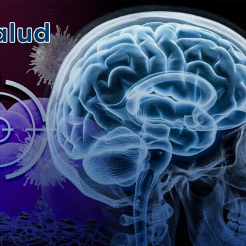 Nueva esperanza contra el glioblastoma: Inmunoterapia ataca el tumor y su escudo protector