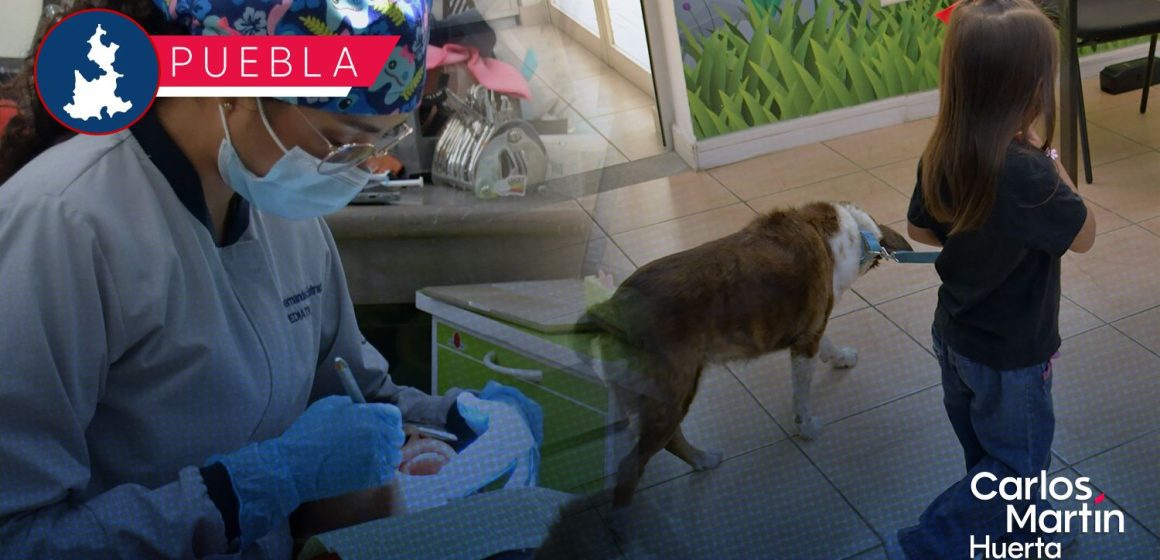 Ofrece BUAP tratamiento dental especializado y terapia con perritos para menores de edad