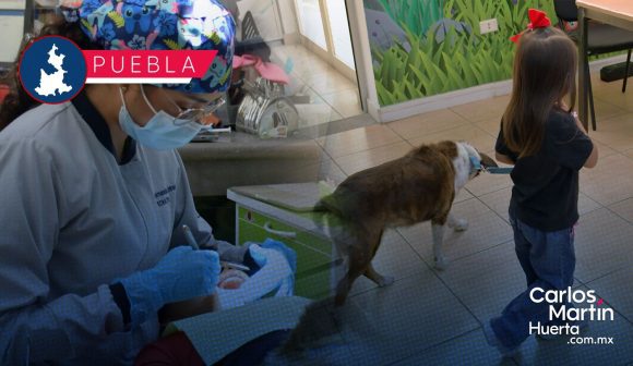Ofrece BUAP tratamiento dental especializado y terapia con perritos para menores de edad