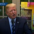 Casa Blanca promociona deportaciones masivas con “La Chona” en TikTok