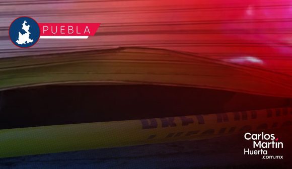 Perros ahuyentan a ladrones tras “cortinazo” en boutique de San Jerónimo Caleras