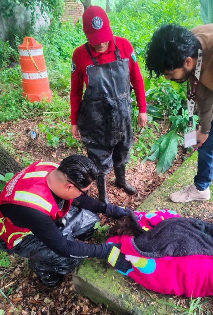 Perrito rescatado de pozo en Cuautlancingo