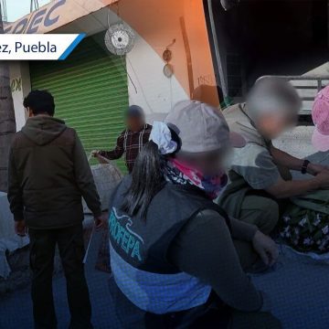 Profepa asegura 58 aves y siete orquídeas durante operativos en Tlacotepec y Tepanco