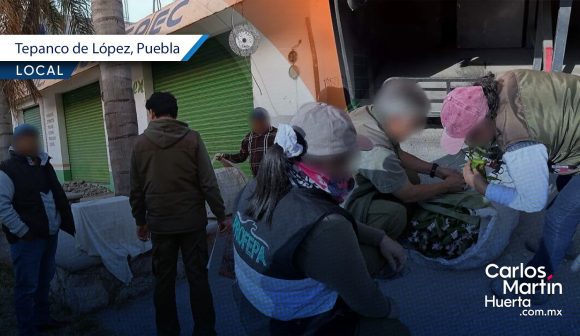 Profepa asegura 58 aves y siete orquídeas durante operativos en Tlacotepec y Tepanco