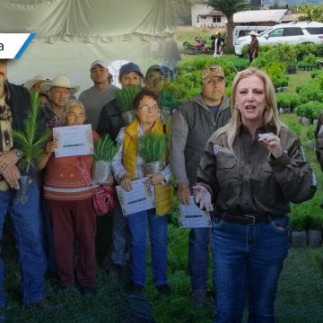 Respalda gobierno estatal nuevo patrimonio natural de 626 mil árboles en Zacatlán